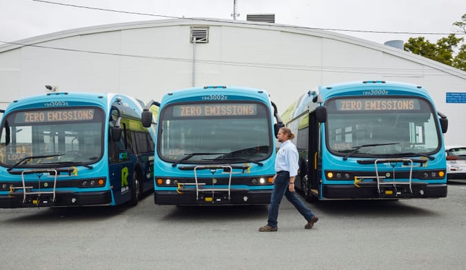 A person strolls past three public transit buses with the words "Zero Emissions" displayed above their windshields.