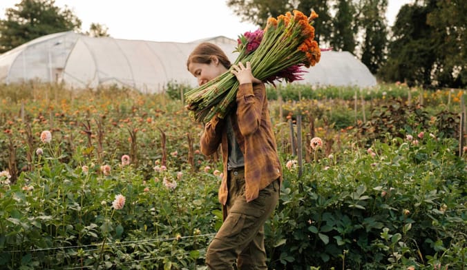 A person carries cut flowers in a field next to a greenhouse.