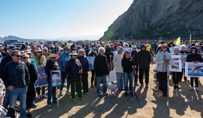 A group of people stand on a beach in front of cliffs. Many of the people hold signs protesting offshore wind.