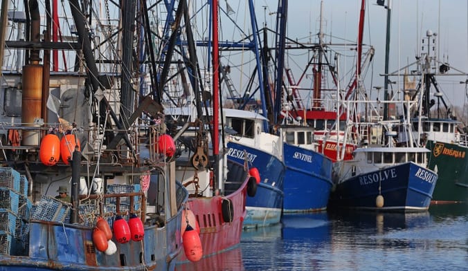 Boats clustered in the water